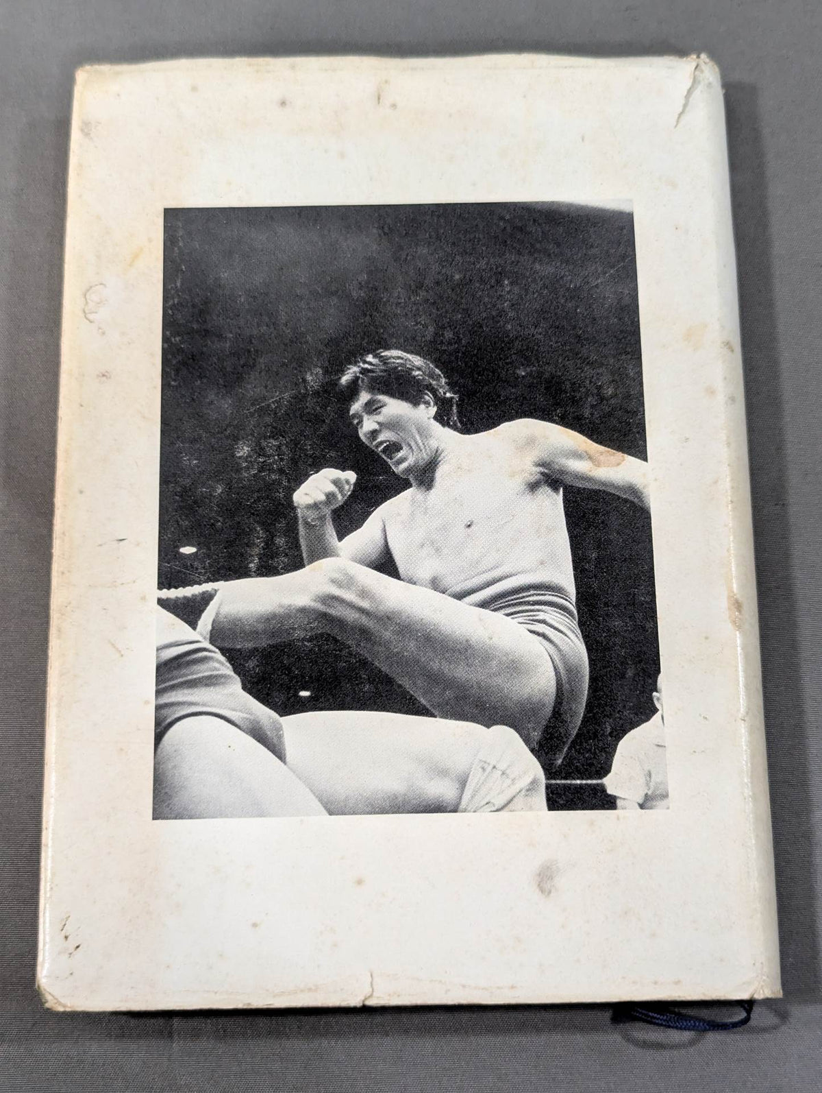 Quiet fighting spirit "Giant Baba "