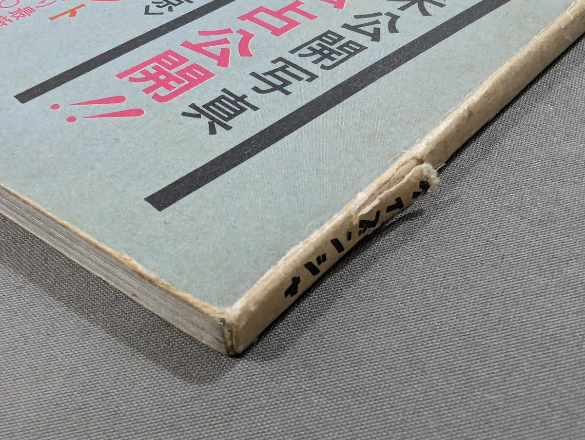帰らざる英雄ブルース・リー