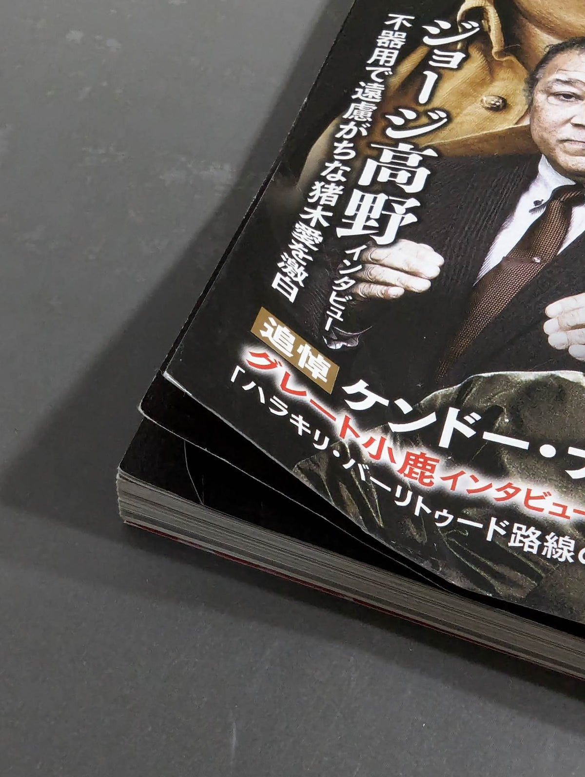 Series Paradoxical Pro Wrestling  Vol.17 Pro Wrestling  "Refusal to Interview" New Japan Pro Wrestlingvs Tarzan Week Pro's "Shoot-Out Tension"