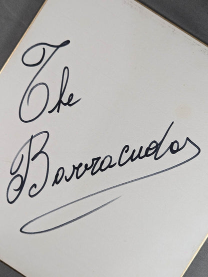 The Barracuda