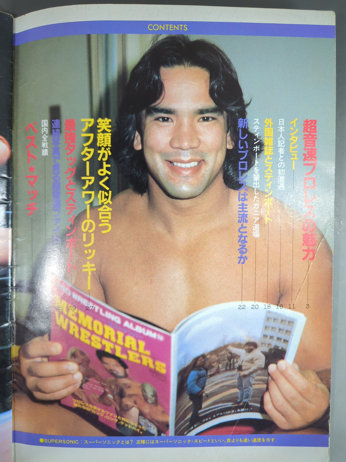 プロレスアルバム30 リッキー・スティンボート
