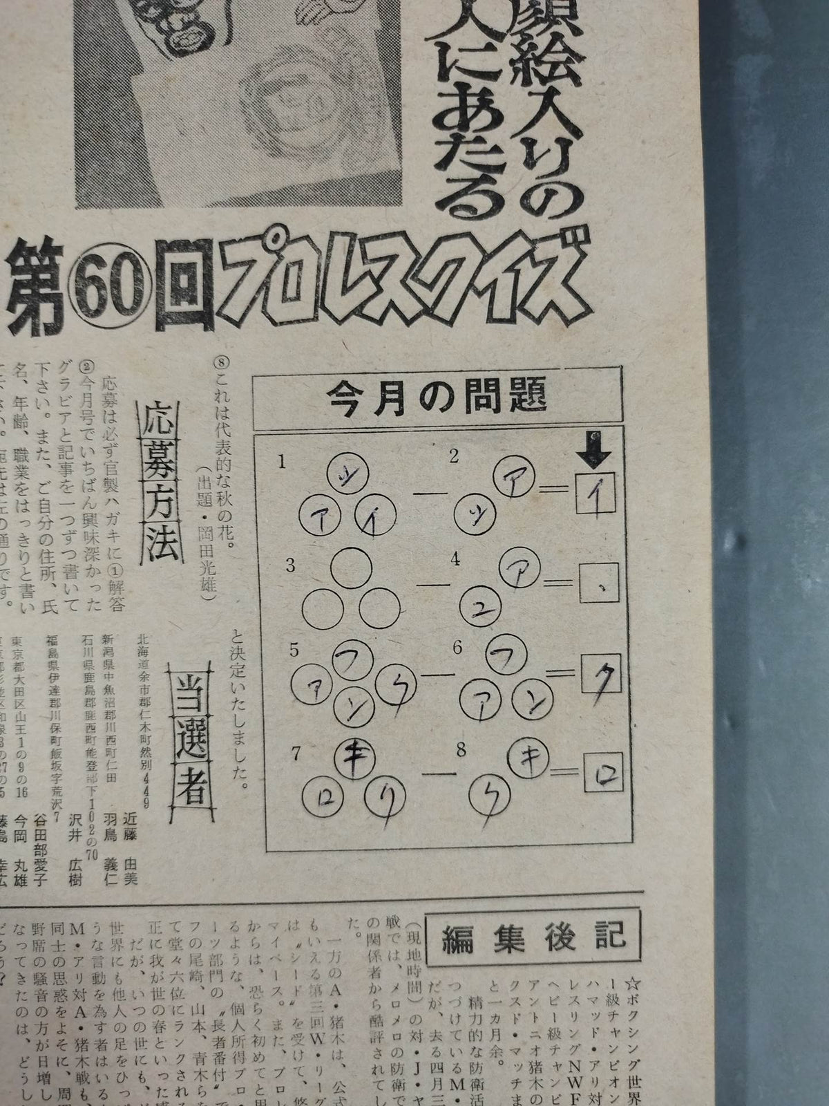 Pro Wrestling  Monthly, June 1976