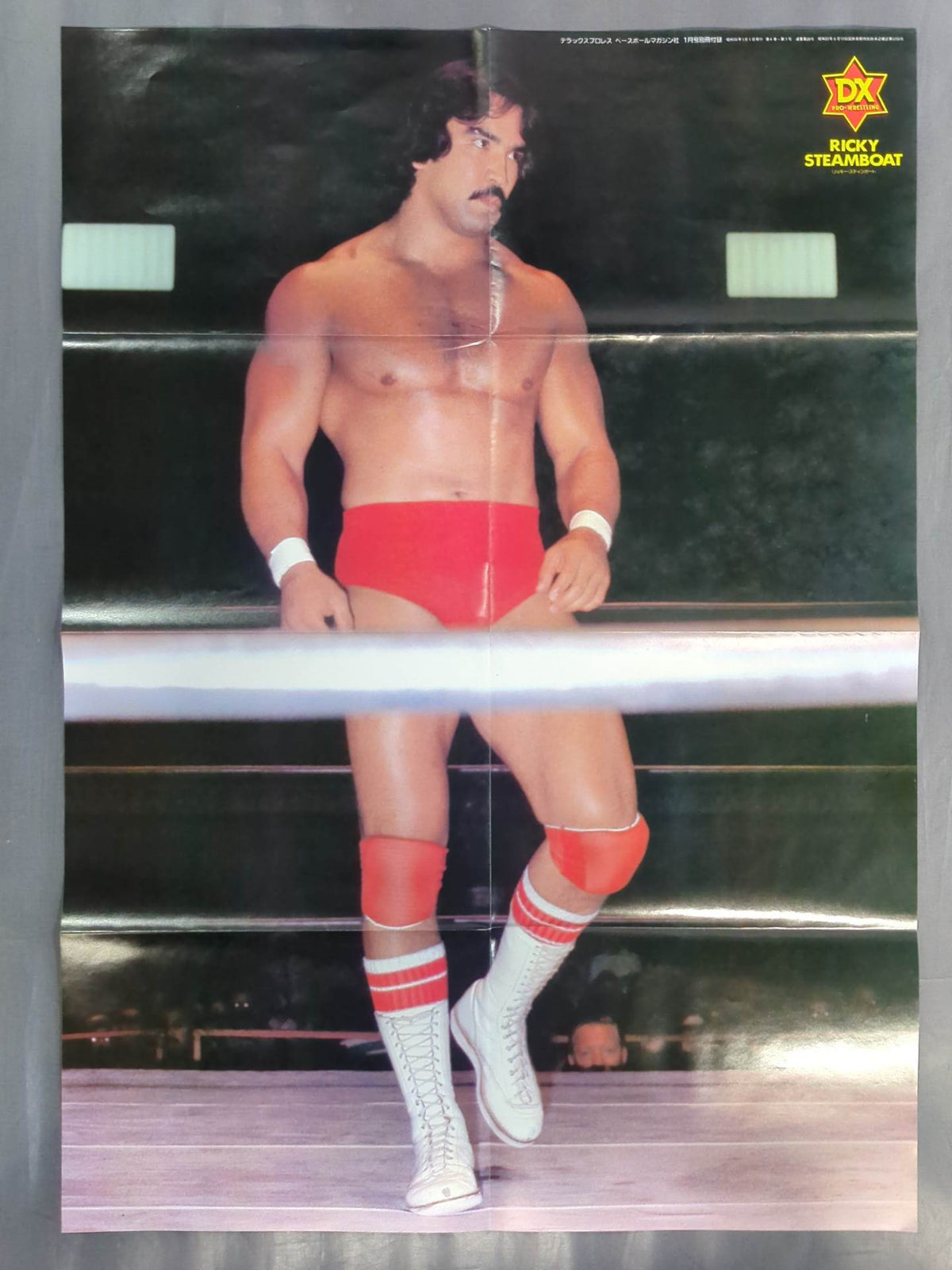 Ricky Steamboat  Magazine Appendix Poster