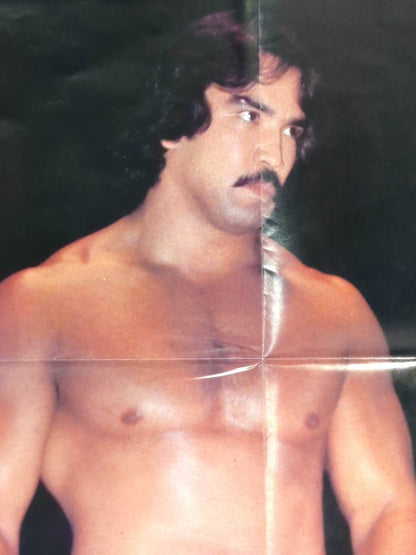 Ricky Steamboat  Magazine Appendix Poster