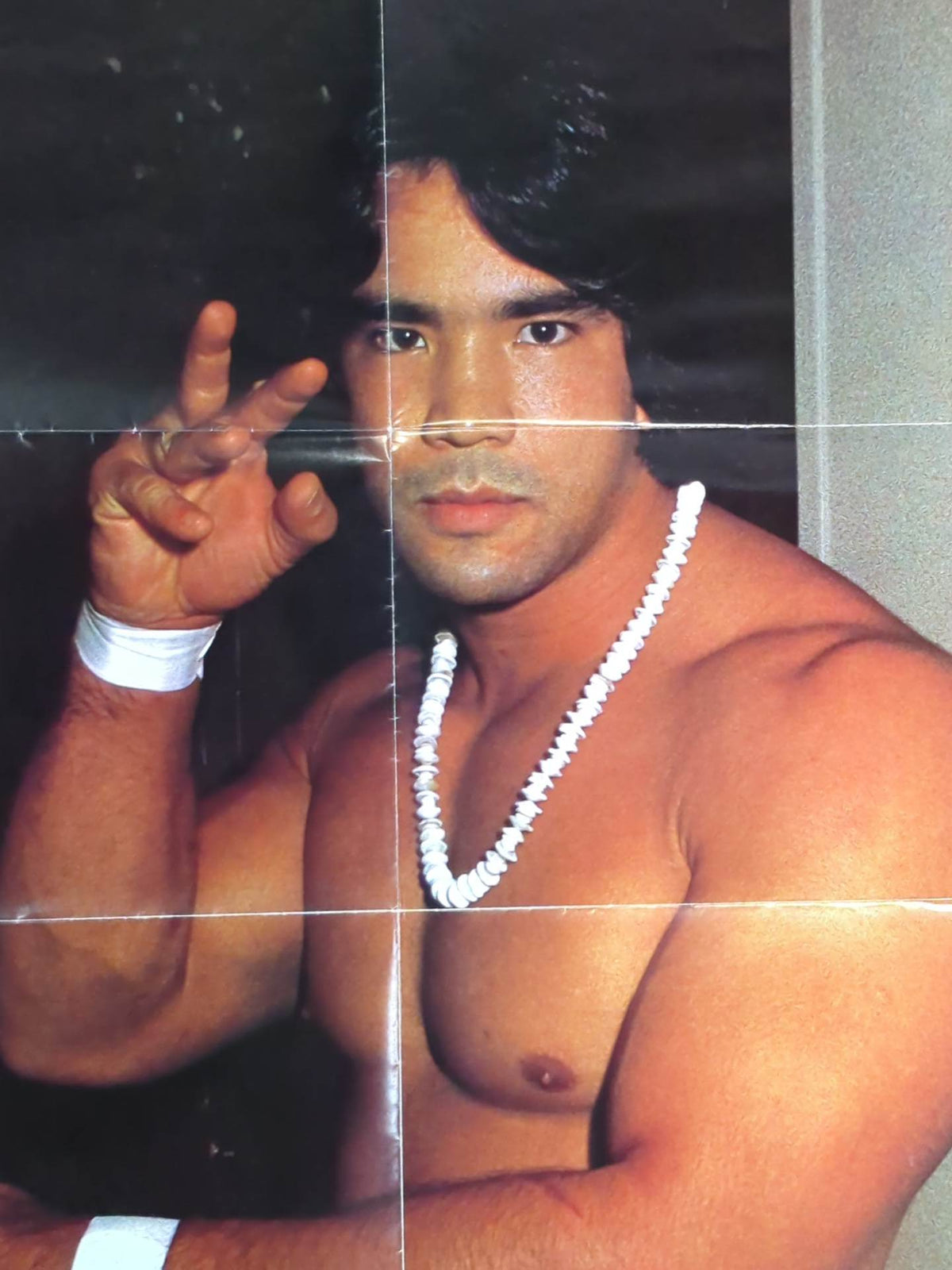 Ricky Steamboat  Magazine Appendix Poster