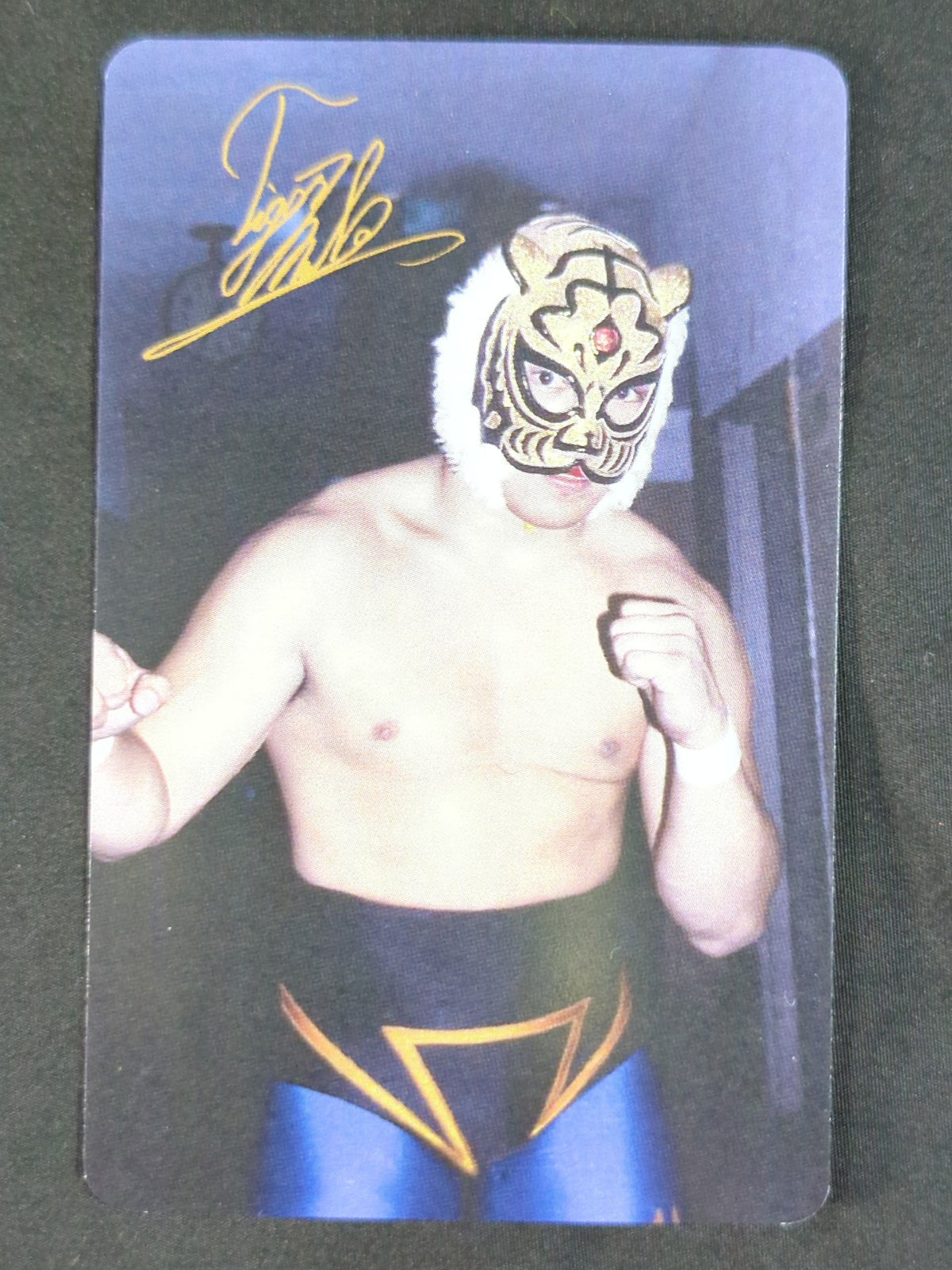★ ★ SCHATTEN―THE FIRST TIGER MASK MODEL