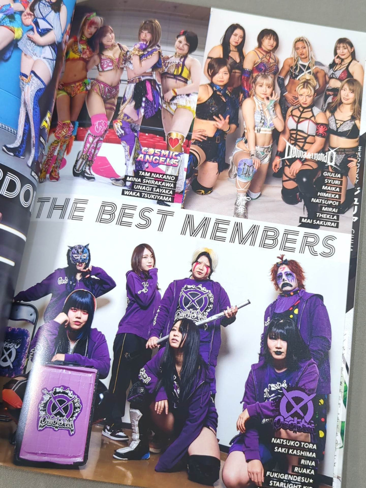 STARDOM OFFICIAL GUIDE BOOK Vol.141