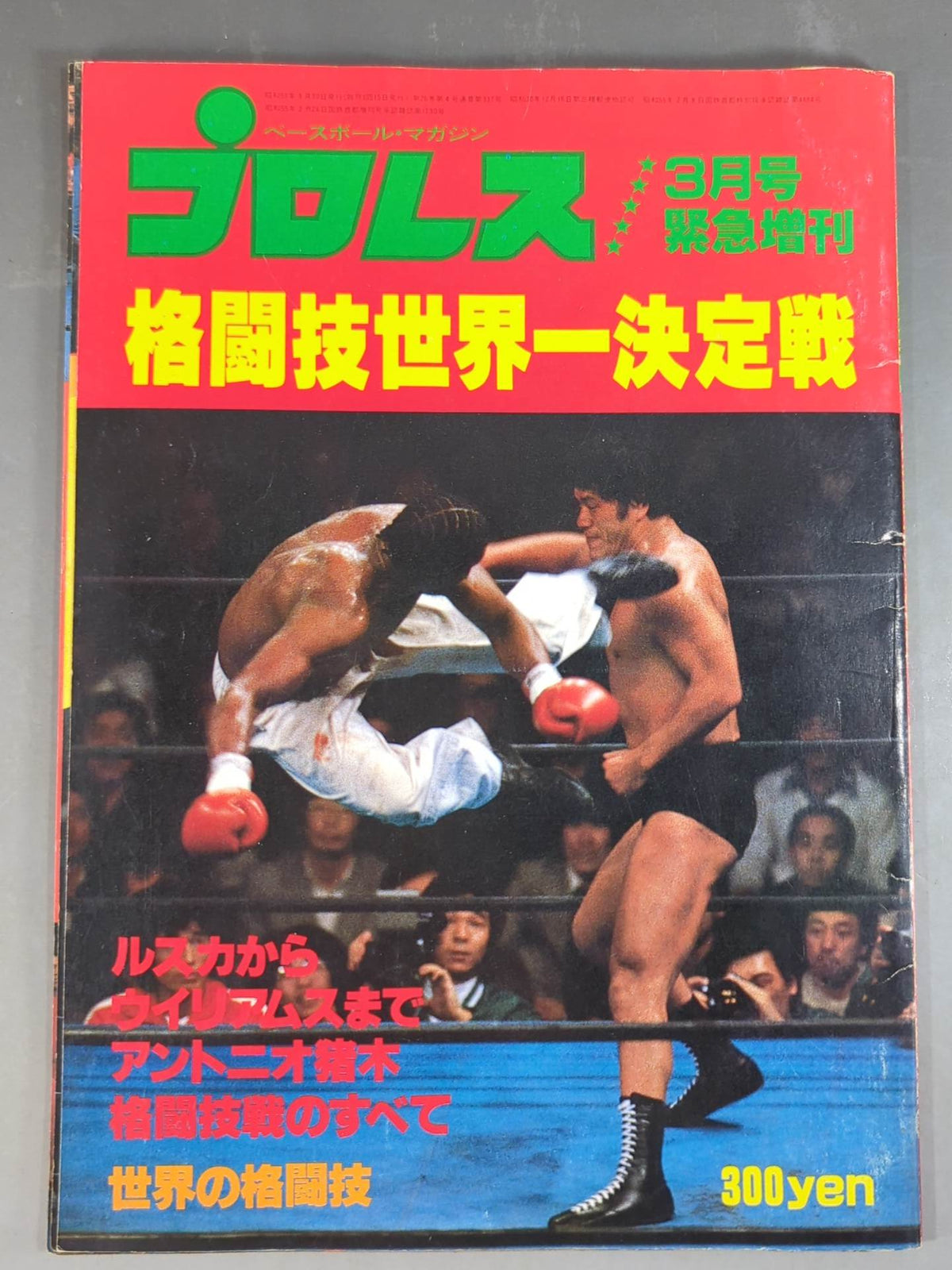 Pro Wrestling  Monthly March 1980 Special Issue