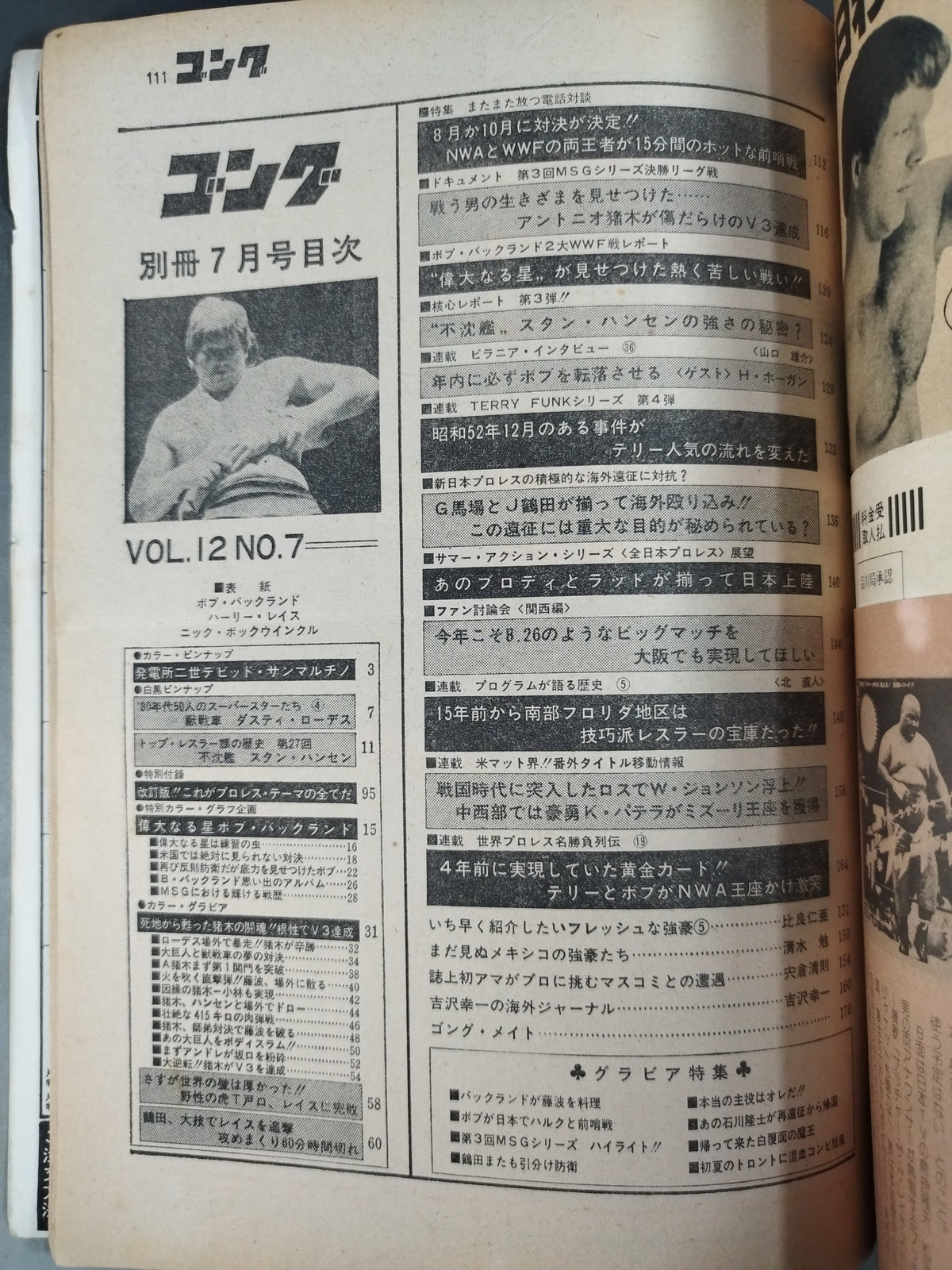 別冊ゴングVol.12 No.7