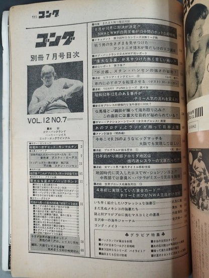 別冊ゴングVol.12 No.7