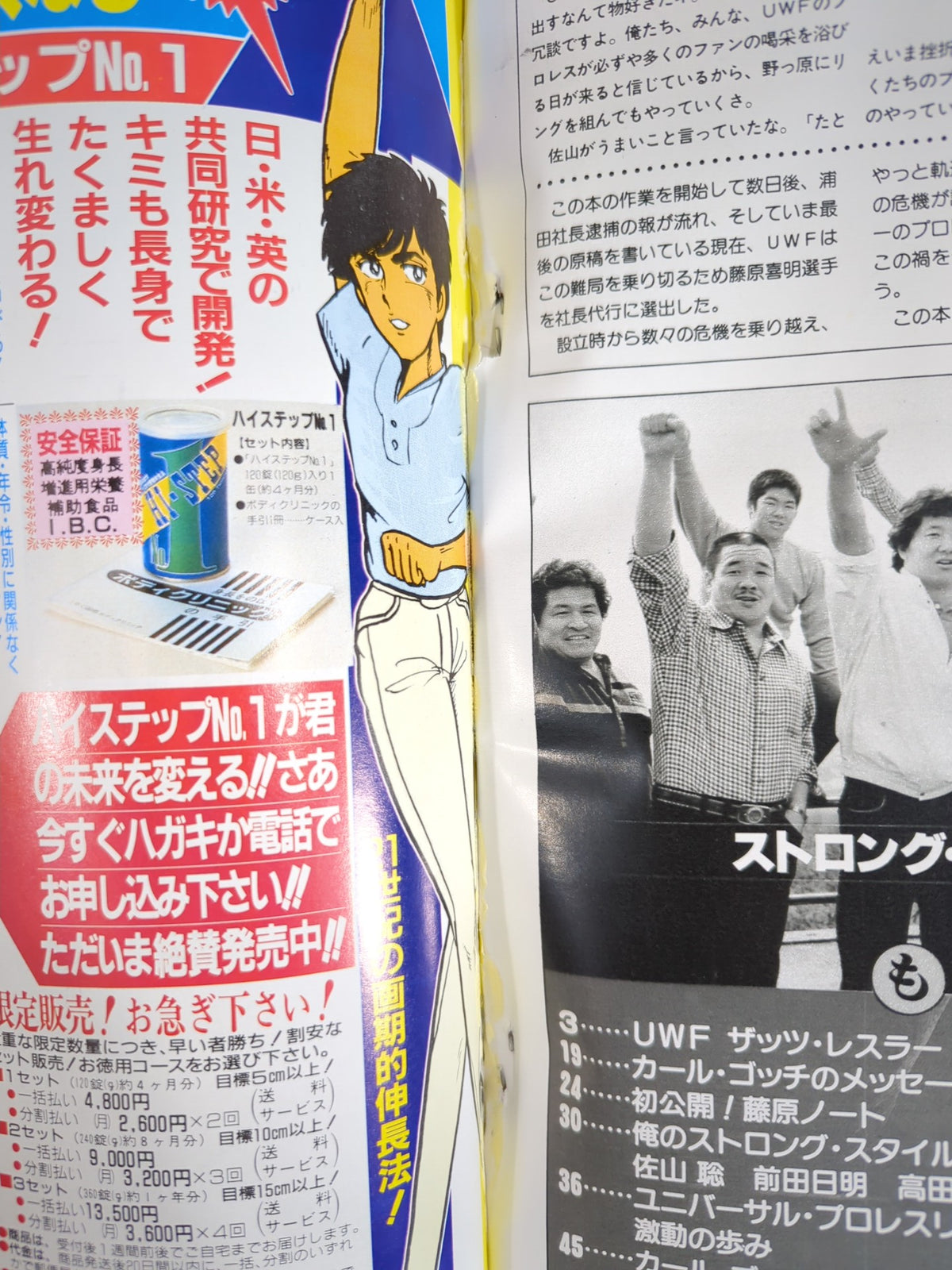 Weekly Pro Wrestling  Special Issue 455 Strong Style The Special Moves