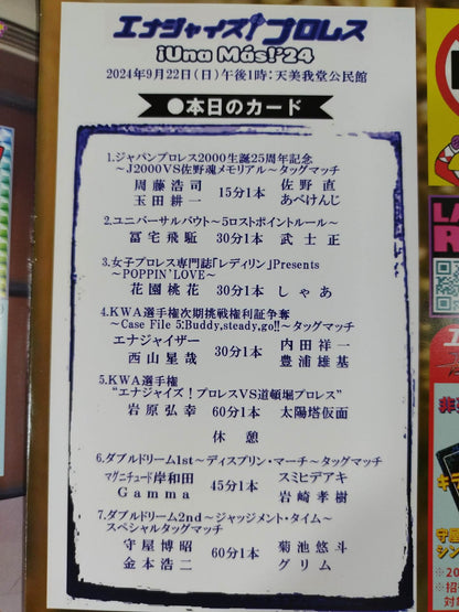 Energize! Pro Wrestling  OFFICIAL GUIDE BOOK Vol.4