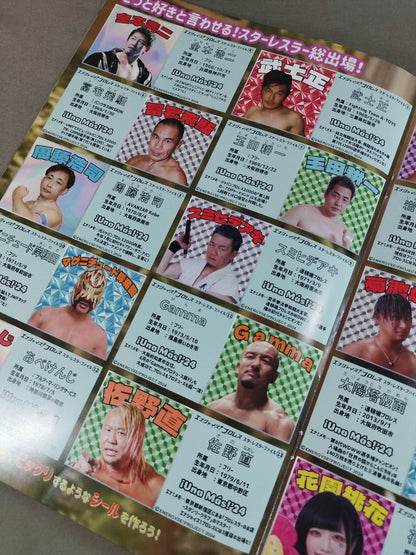 Energize! Pro Wrestling  OFFICIAL GUIDE BOOK Vol.4