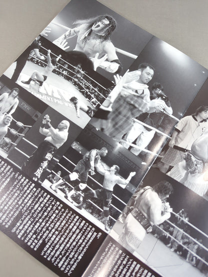 FMW / OFFICIAL GUIDE BOOK 1999 vol.1
