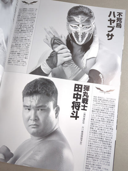 FMW / OFFICIAL GUIDE BOOK 1999 vol.1
