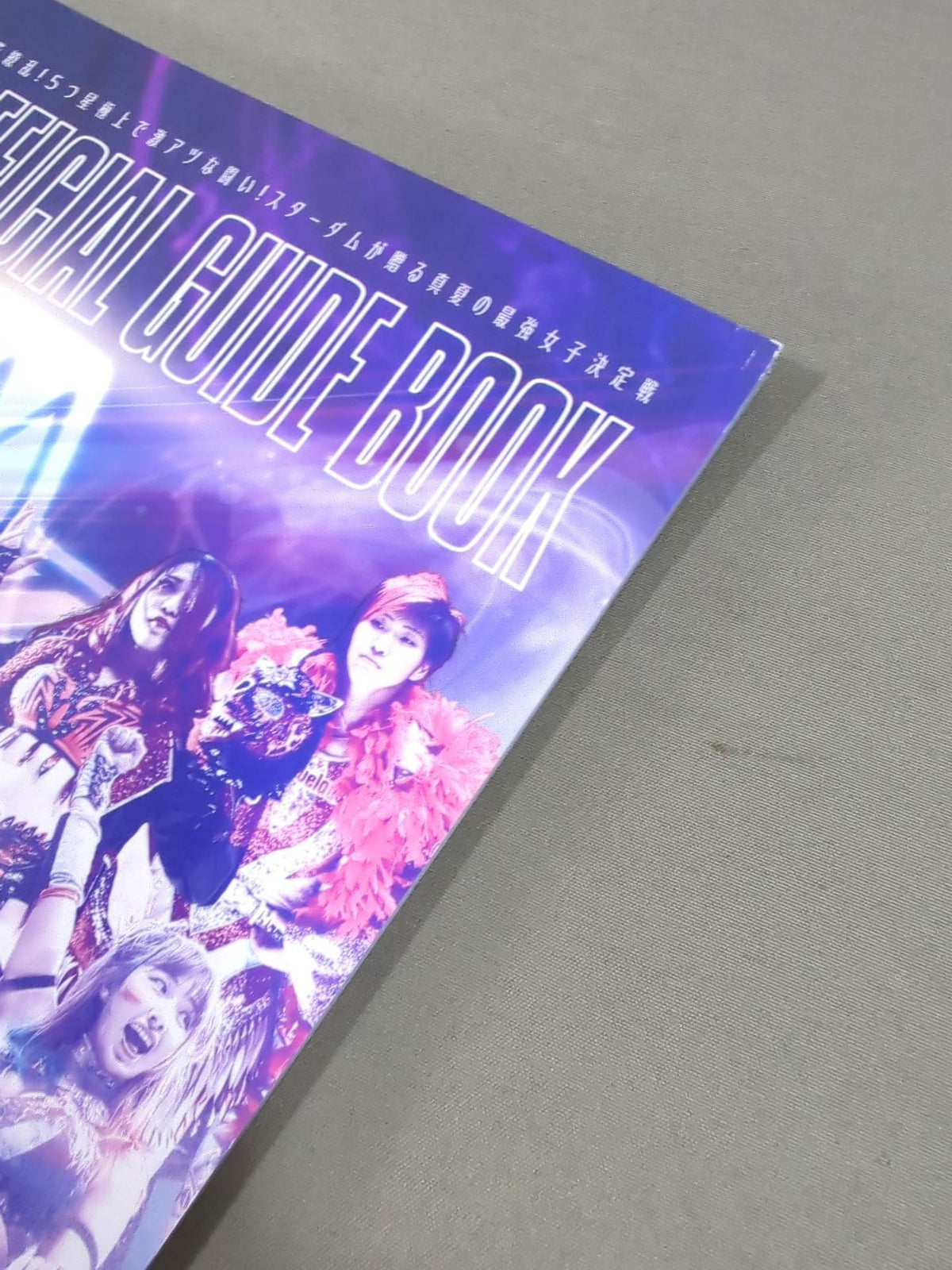 STARDOM OFFICIAL GUIDE BOOK Vol.137