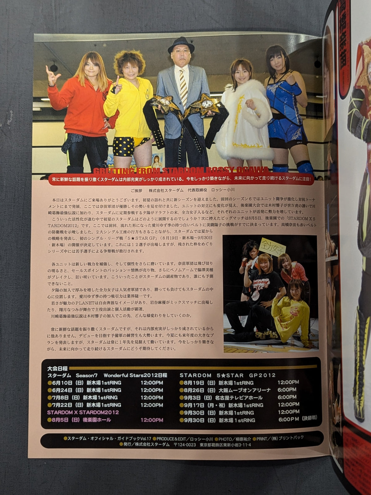 STARDOM OFFICIAL GUIDE BOOK Vol.17