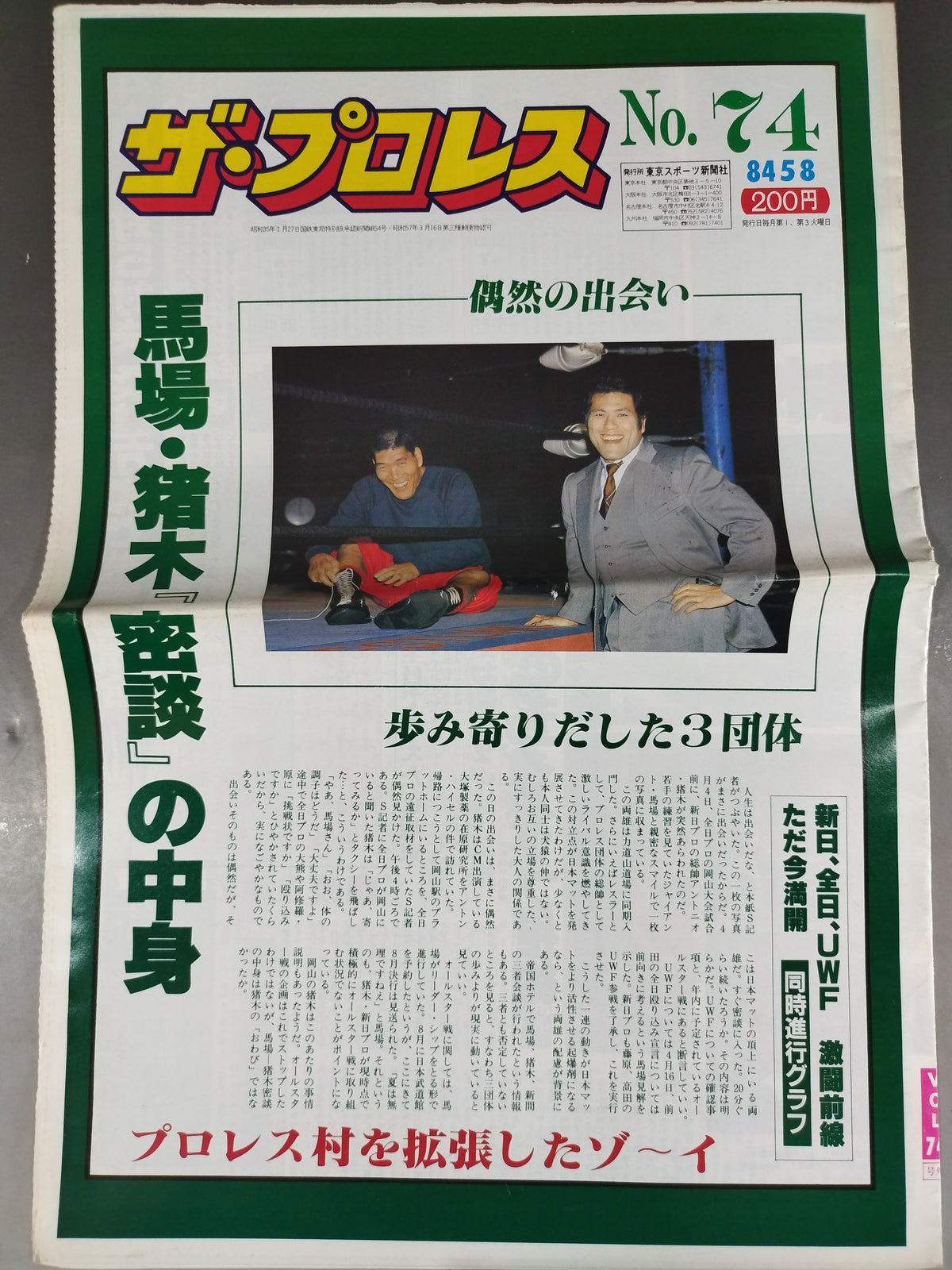 Pro Wrestling 74