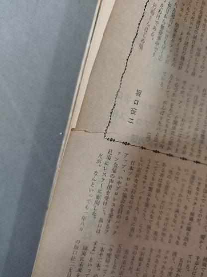 プロレス&ボクシング 1969年5月号増刊