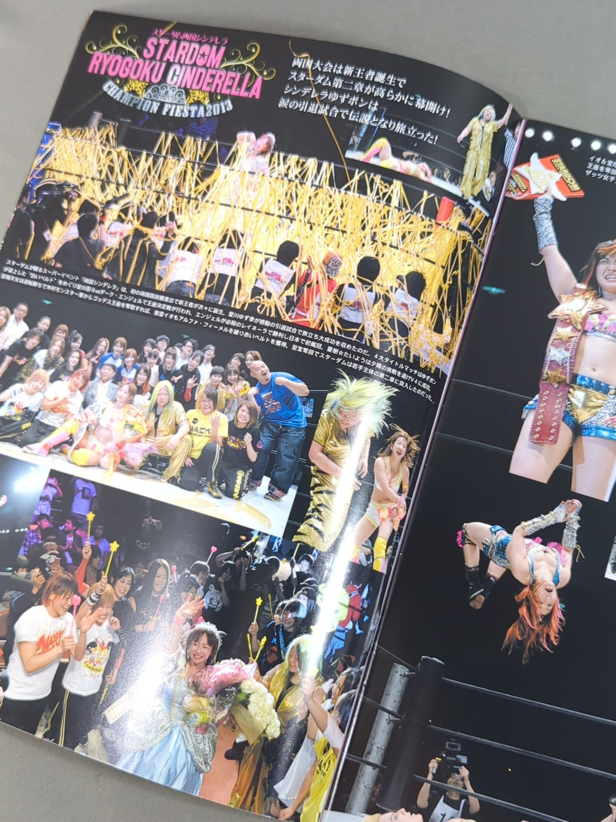 STARDOM OFFICIAL GUIDE BOOK Vol.32
