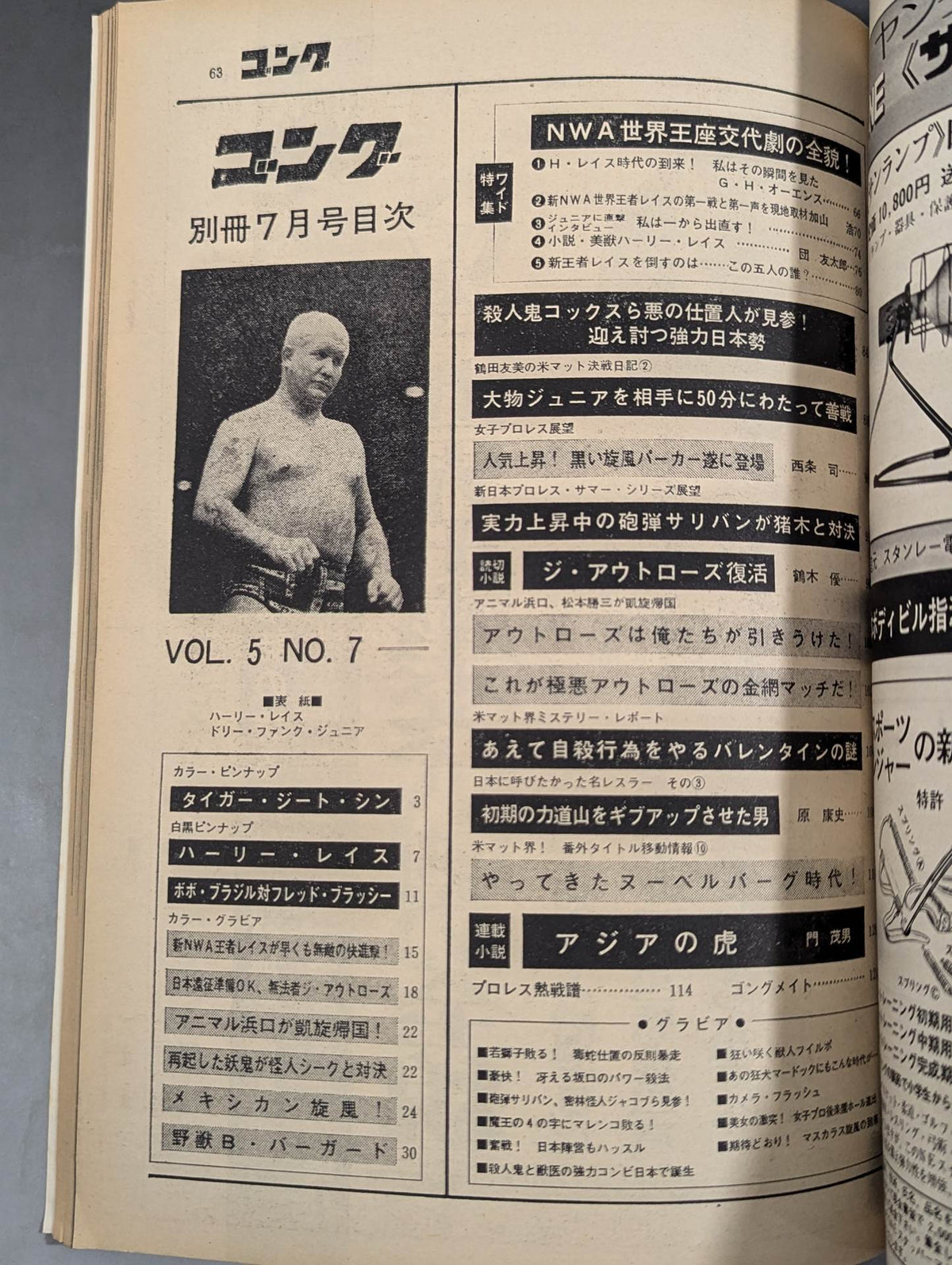 別冊ゴングVol.5 No.7