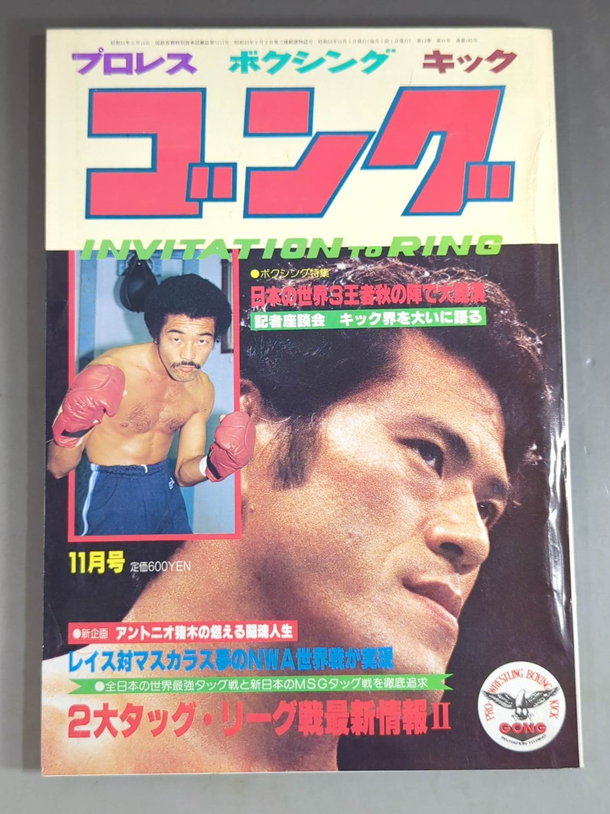 月刊ゴングVol.13 No.11