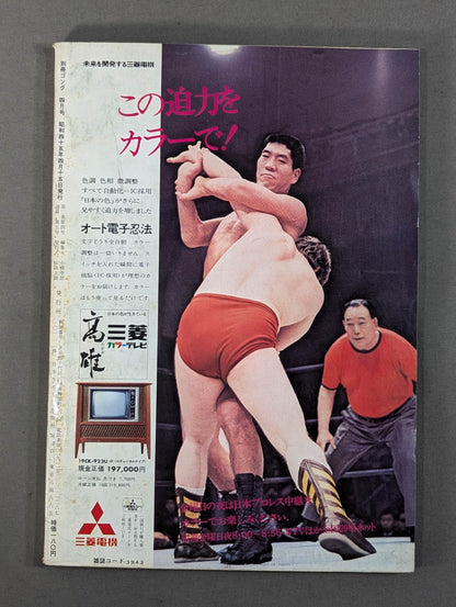 別冊ゴングVol.2 No.4