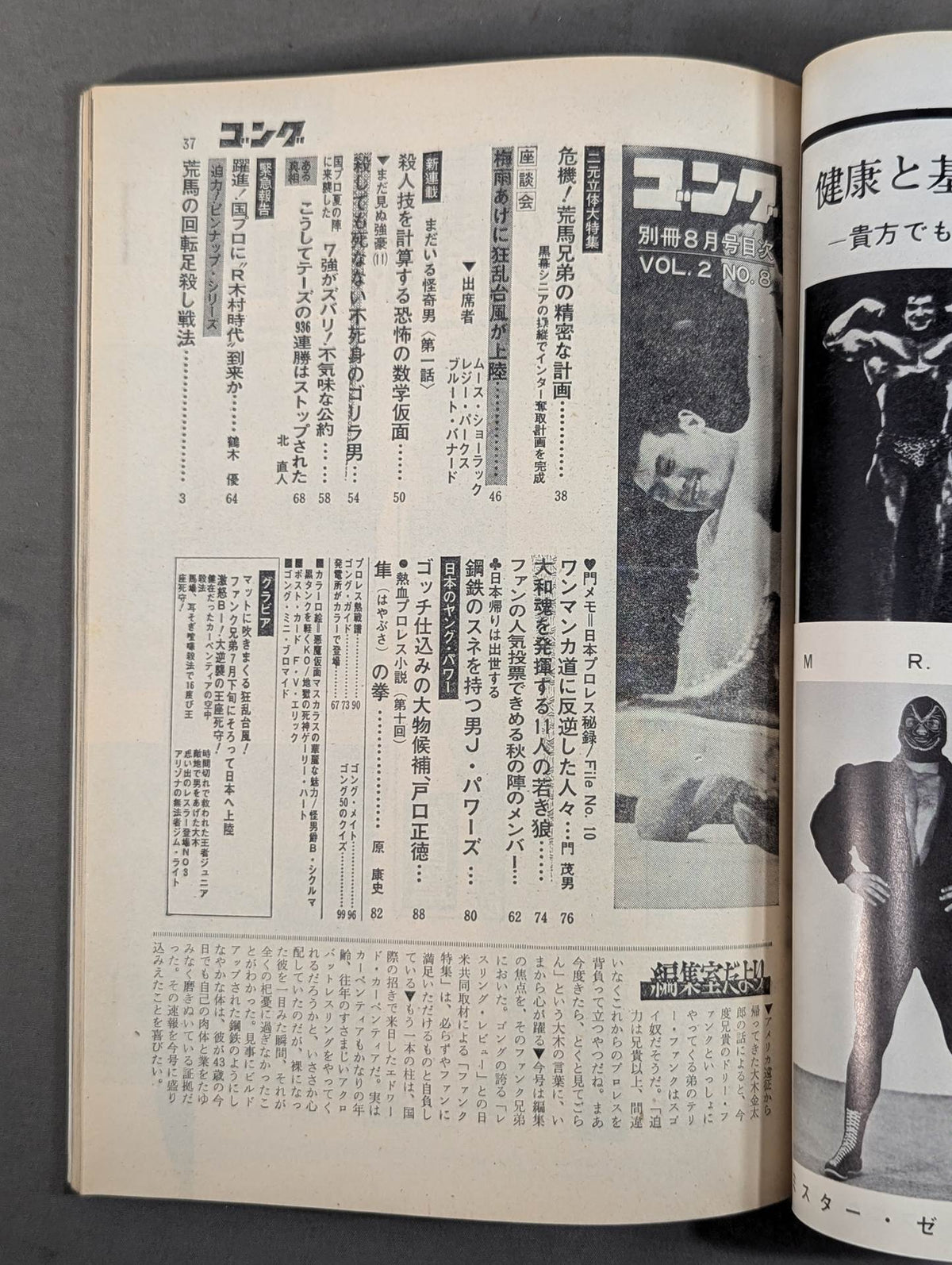別冊ゴングVol.2 No.8