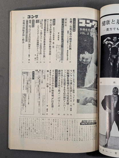 別冊ゴングVol.2 No.8