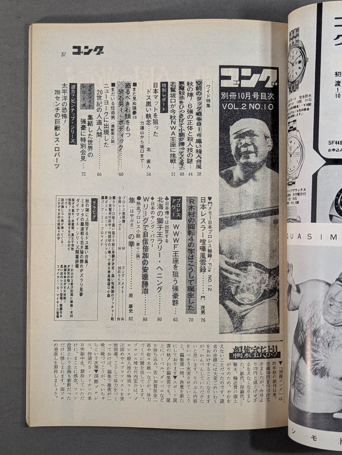 別冊ゴングVol.2 No.10