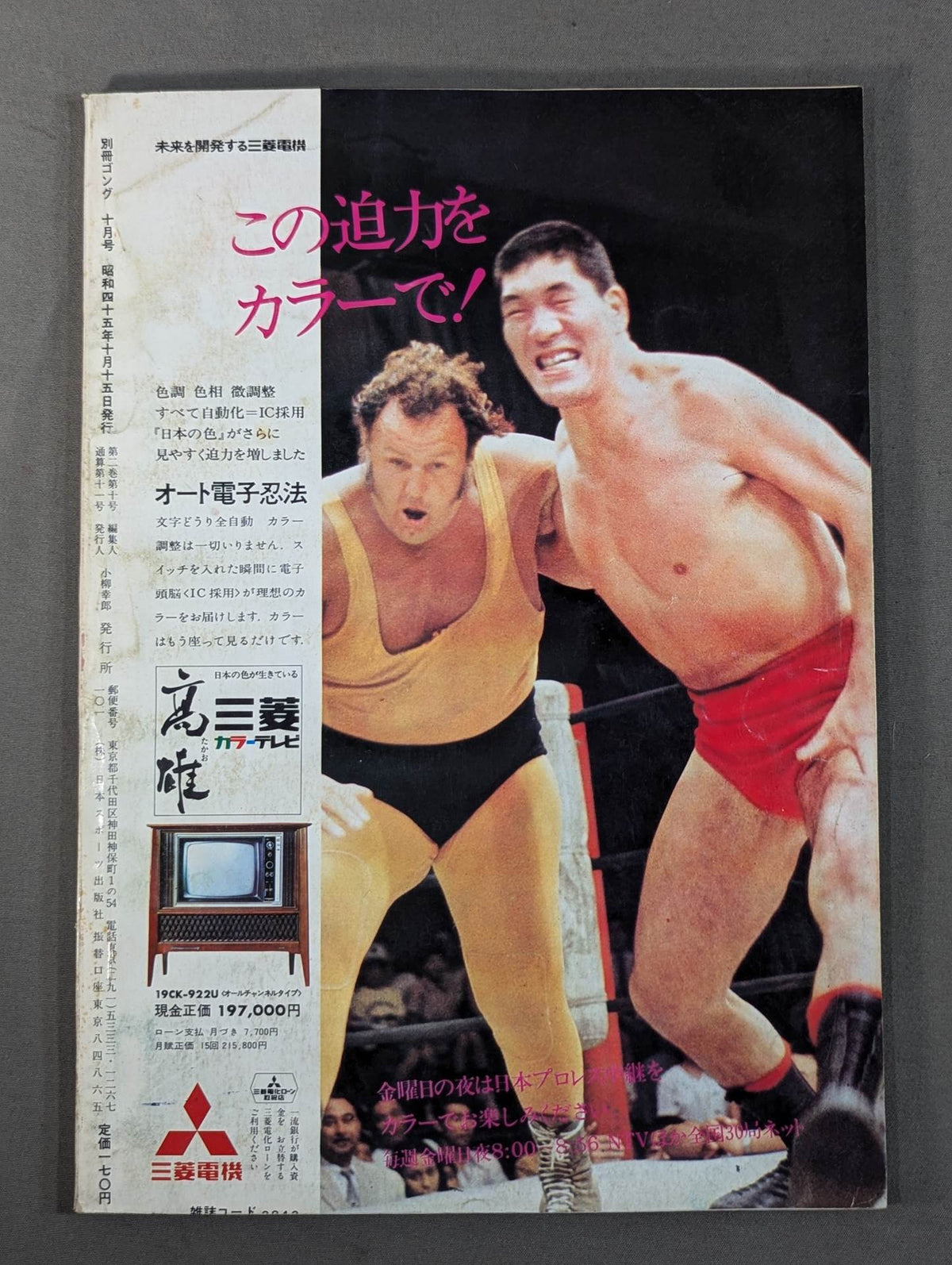 別冊ゴングVol.2 No.10