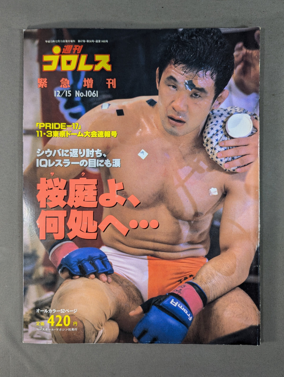 Weekly Pro Wrestling 1061