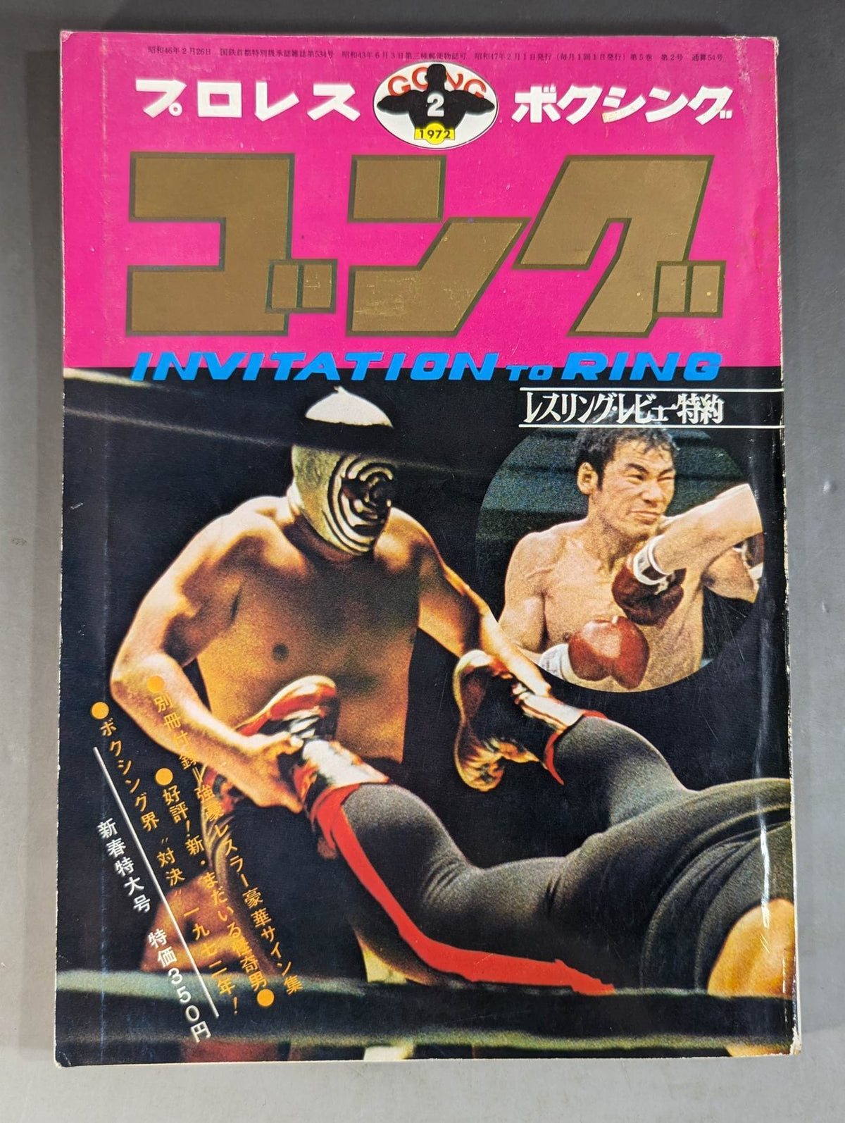 月刊ゴングVol.5 No.2