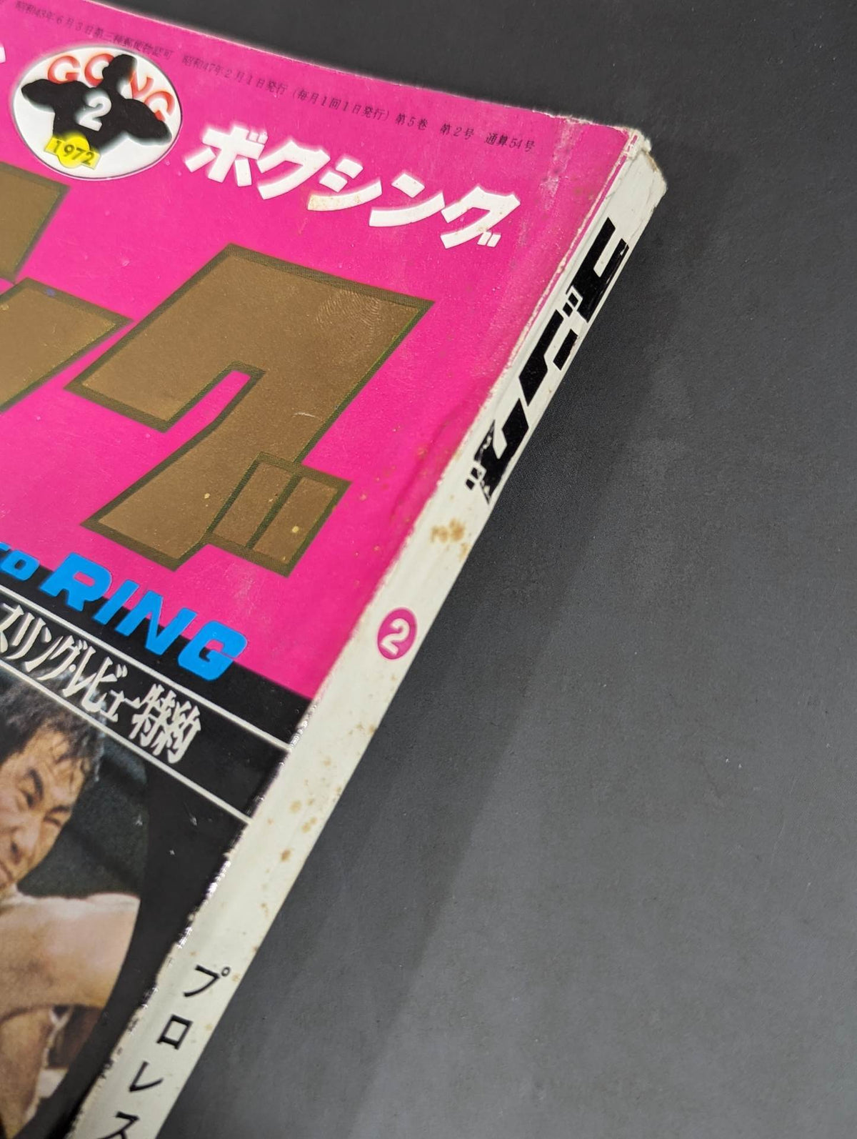 月刊ゴングVol.5 No.2