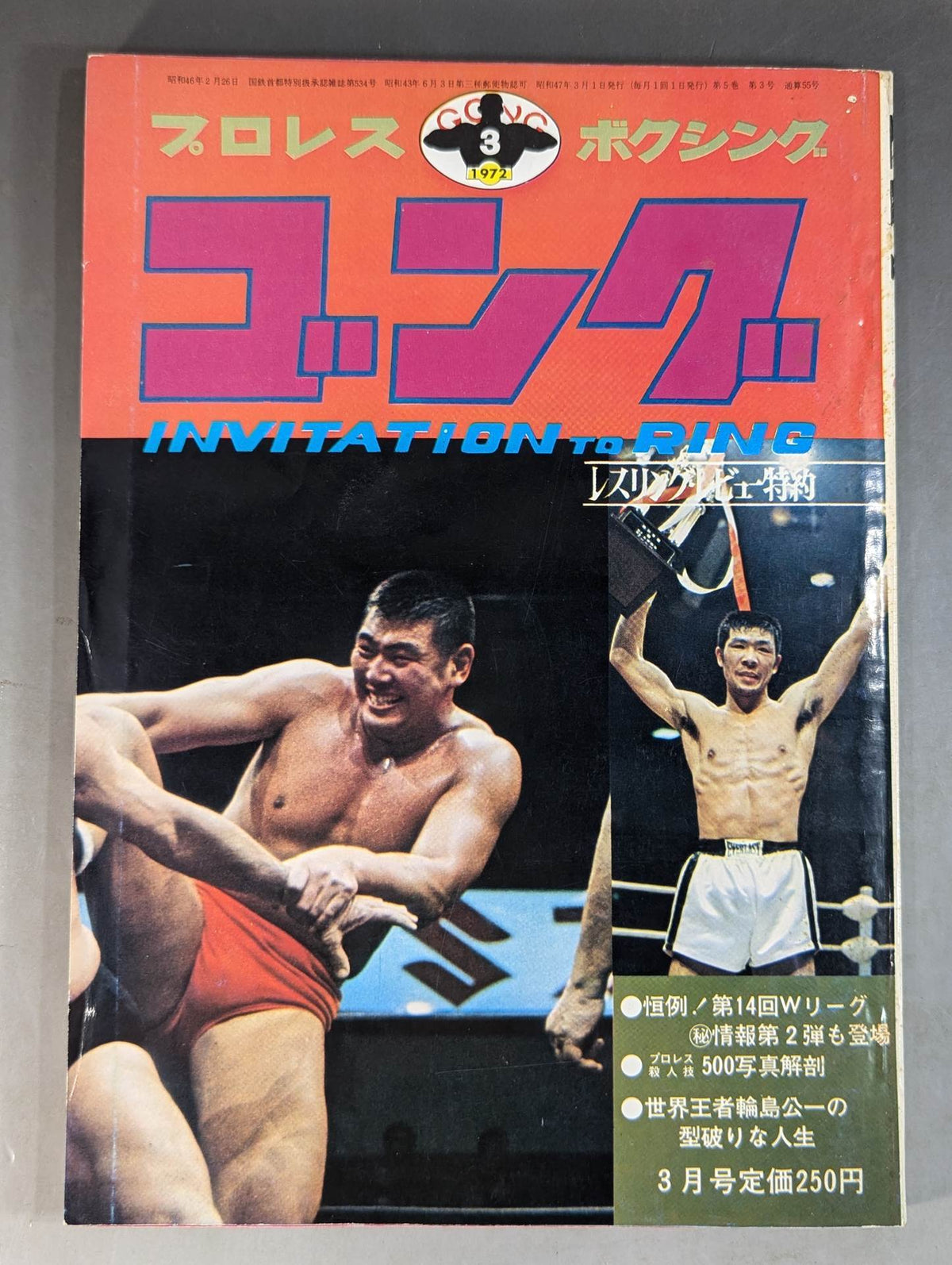 月刊ゴングVol.5 No.3