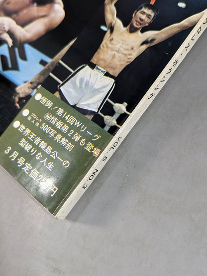 月刊ゴングVol.5 No.3