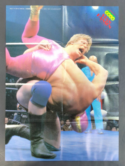 Stan Hansen Magazine Appendix Poster