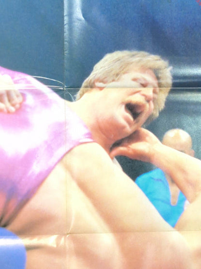 Stan Hansen Magazine Appendix Poster