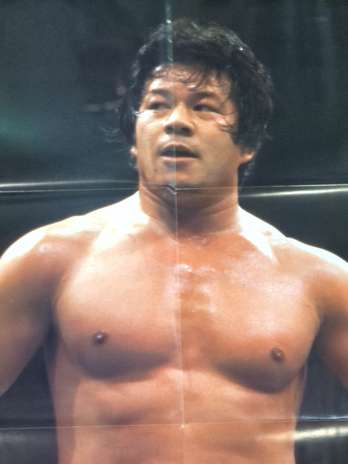 藤波辰巳 雑誌付録ポスター