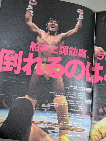 2013プロレスLOVE in 両国 BASIC＆DYNAMIC