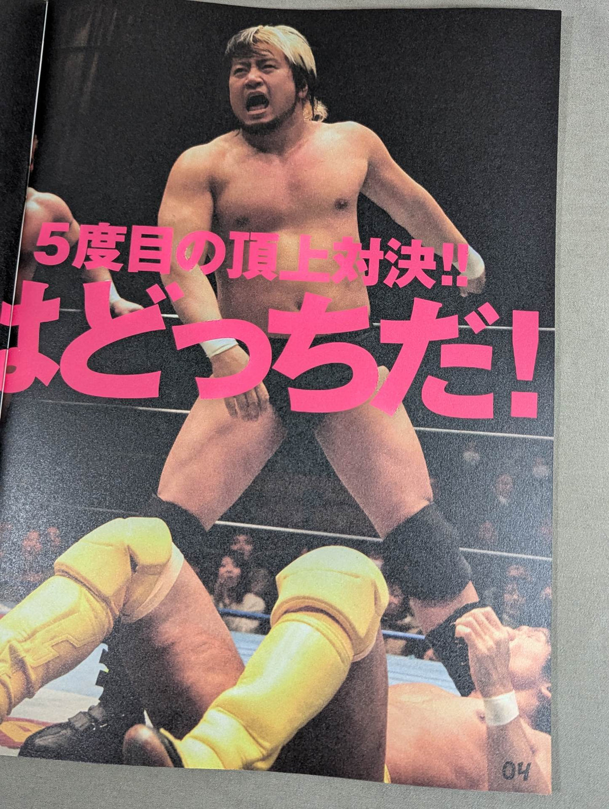 2013プロレスLOVE in 両国 BASIC＆DYNAMIC
