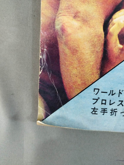 月刊ゴングVol.1 No.2