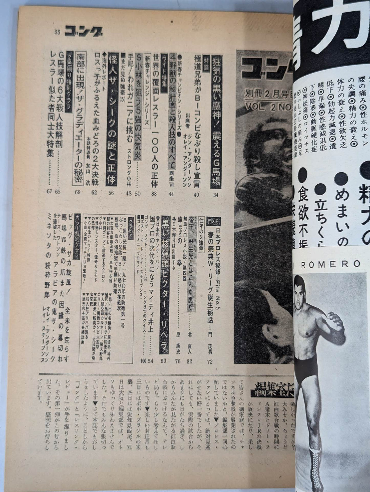 別冊ゴングVol.2 No.2