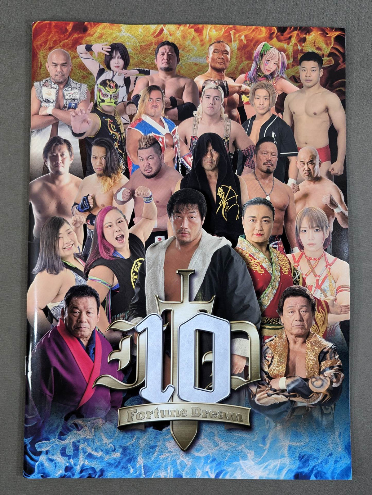 Fortune Dream 10