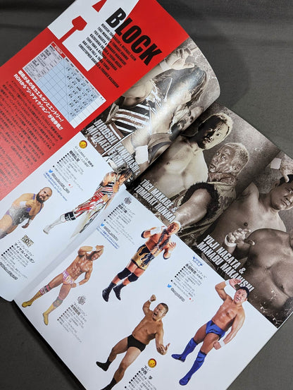 NJPW OFFICIAL MAGAZINE 2015 Vol.8