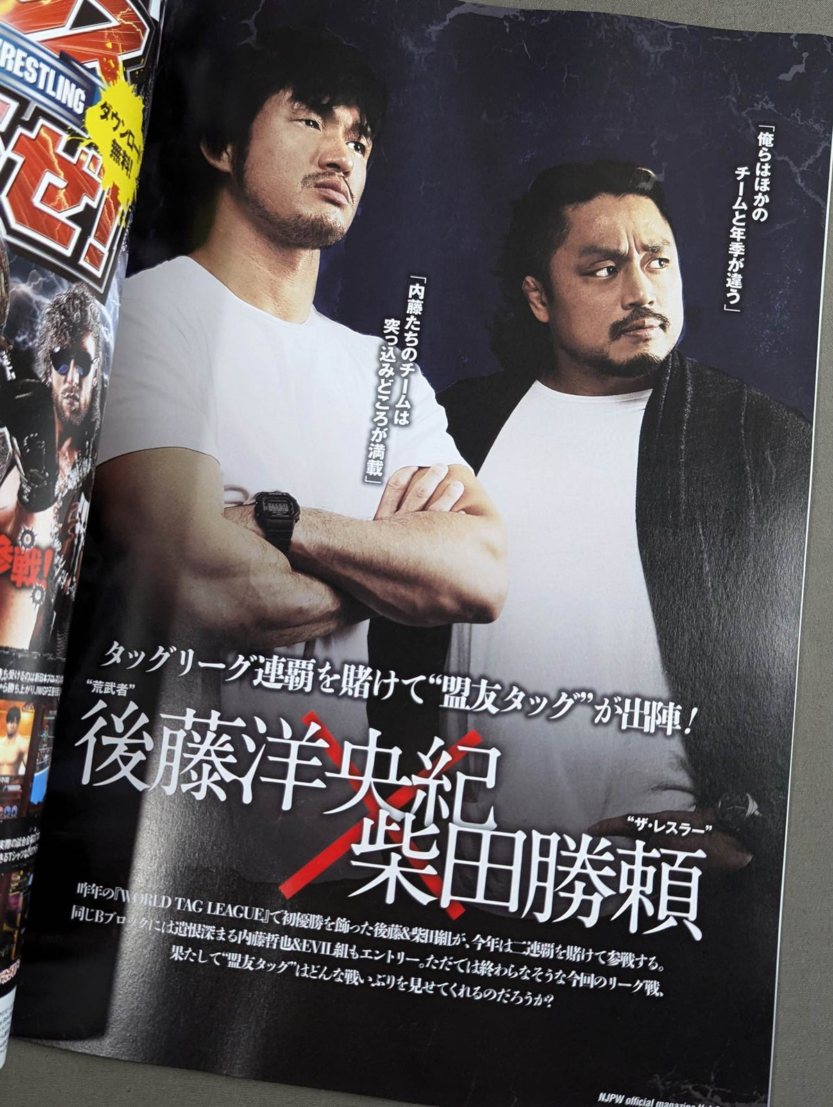 NJPW OFFICIAL MAGAZINE 2015 Vol.8