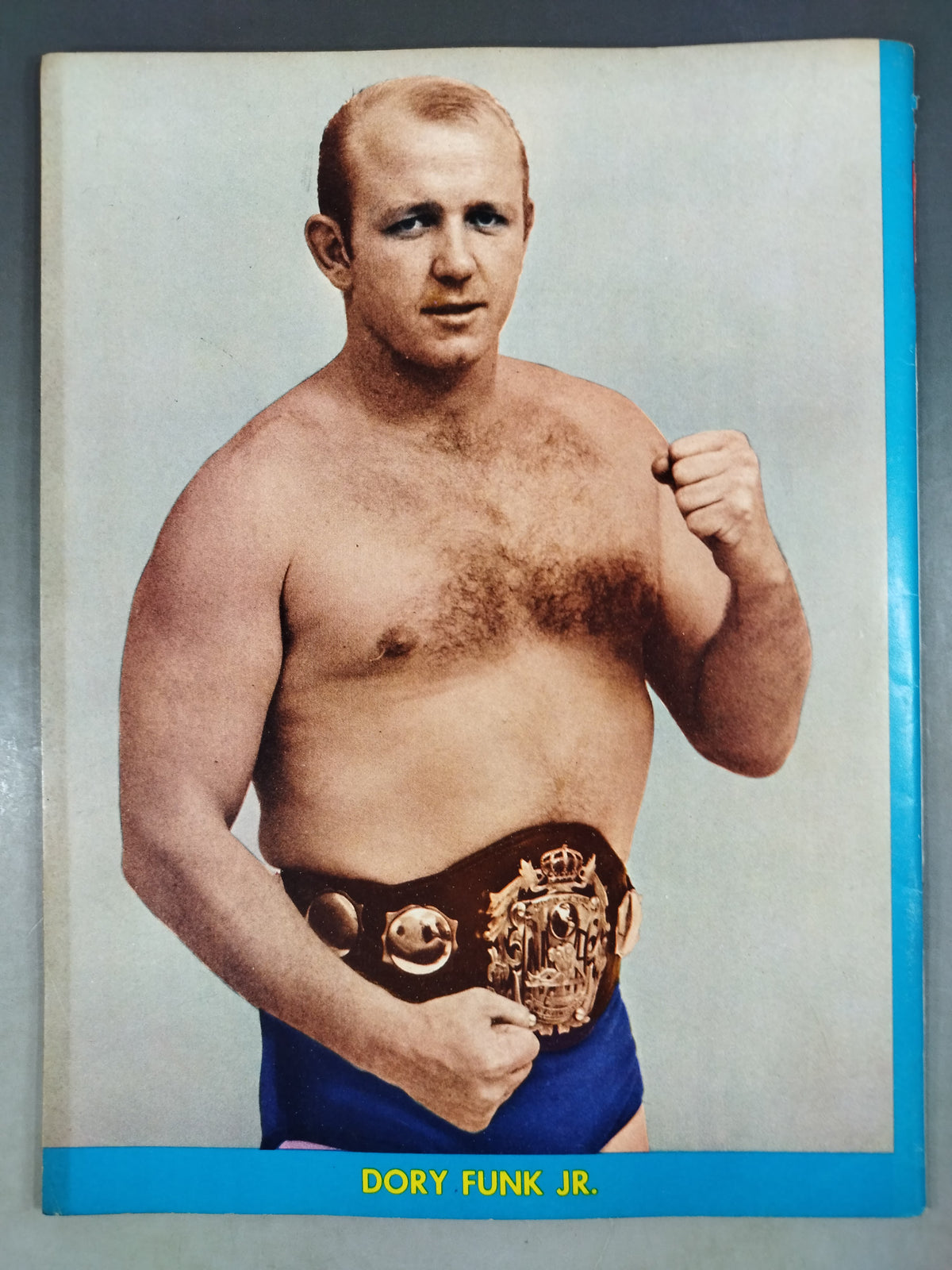 ★日本語解説付★ Wrestling REVUE 1969年10月号