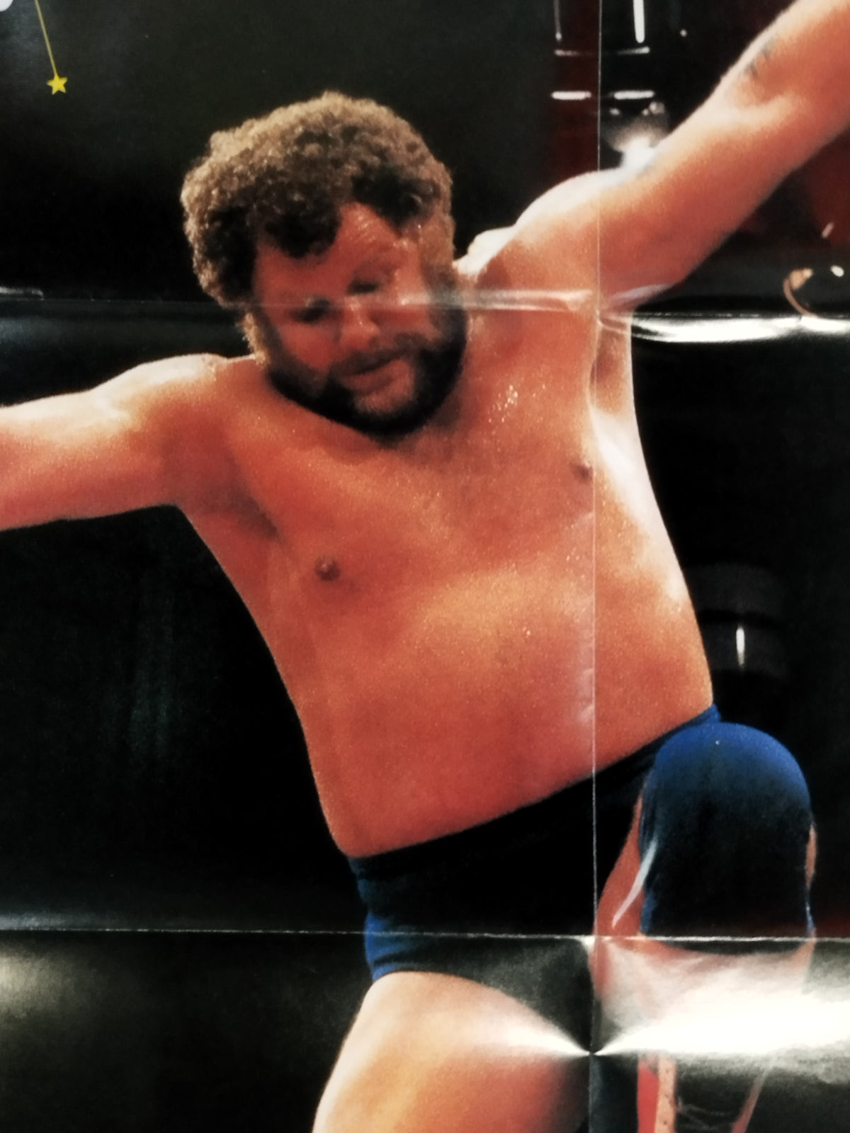 Harley Race  Magazine Appendix Poster