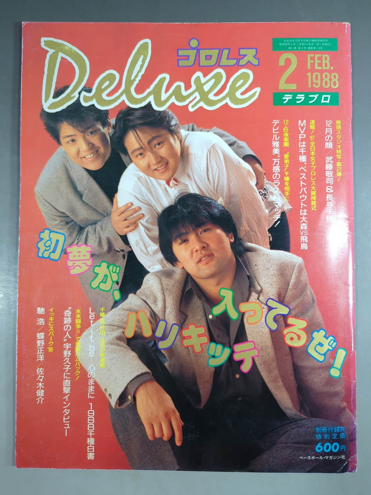 Deluxe Pro Wrestling February 1988