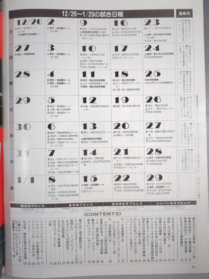 Deluxe Pro Wrestling February 1988